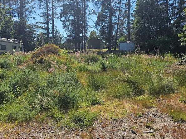 247 xx Birch Place, Ocean Park, WA 98640