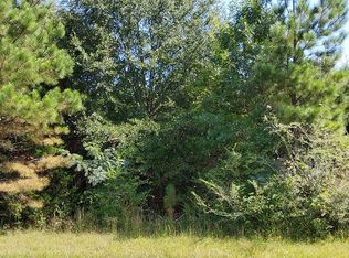 2308 Camp Rd, Bethune, SC 29009