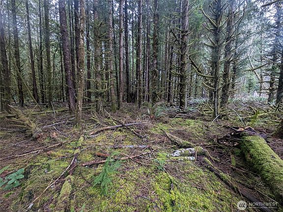 5th image of 9991 Quillayute Road