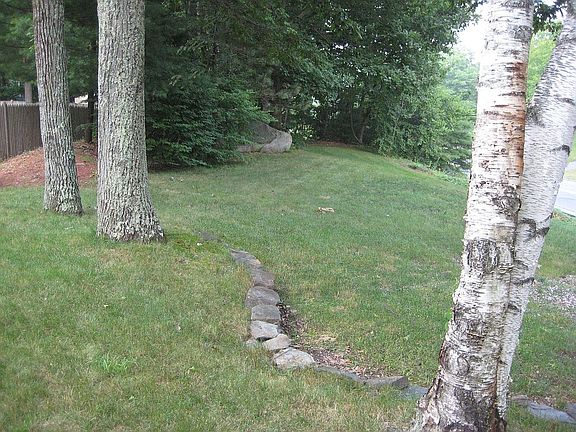 Front Yard