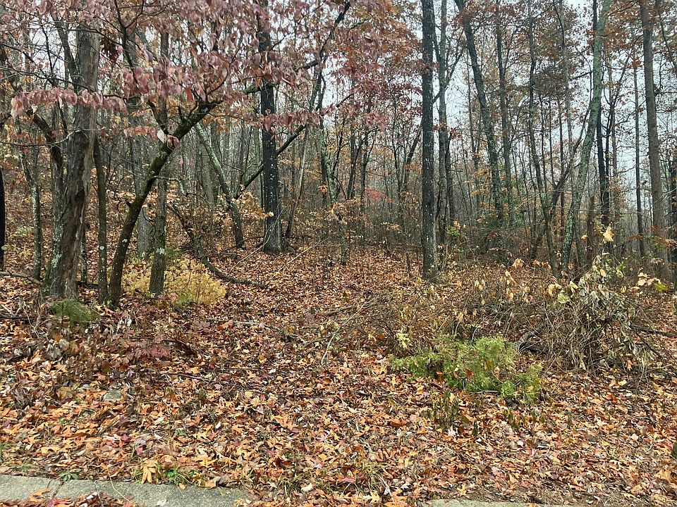 2nd image of 280 Timber Ridge Dr Lot 5