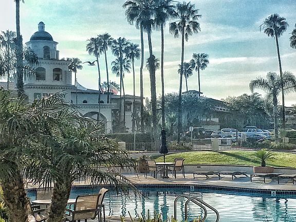 View from Pool