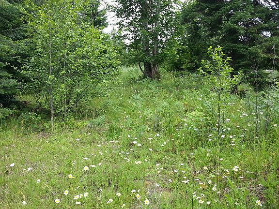 2nd image of 399 Parsons Dr