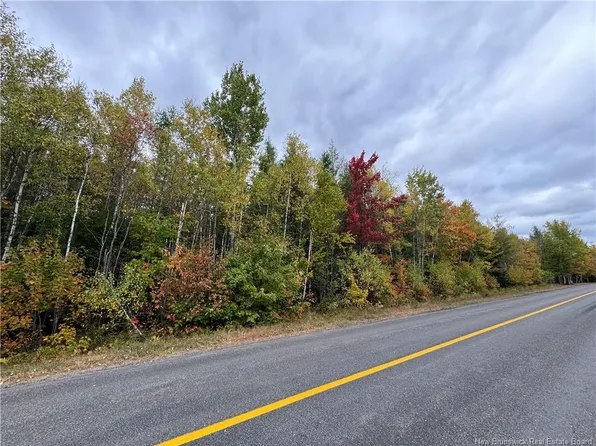 Blueberry Ln, Cambridge Narrows, NB E4C 3J2