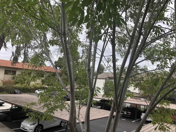 1361 Caminito Gabaldon Unit D, San Diego, CA 92108