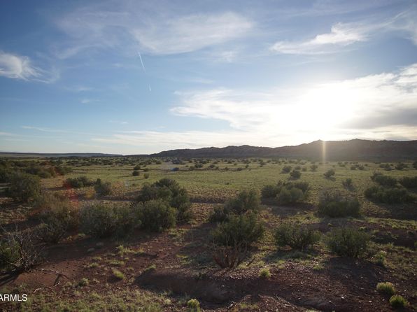Lots 45 & 53 Woodland Valley Rnch #45, Saint Johns, AZ 85936