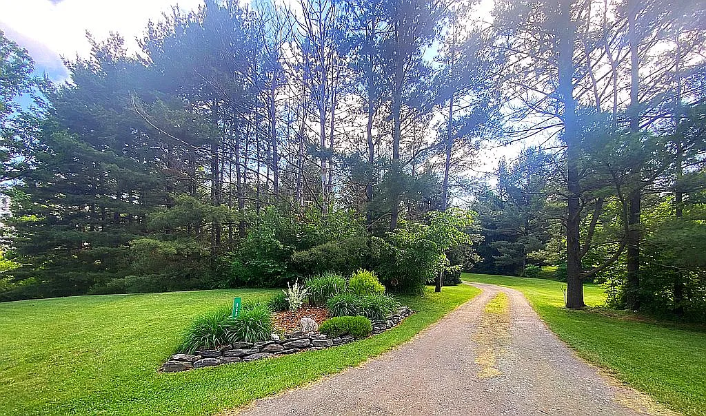 988 Gulley Rd photo 1