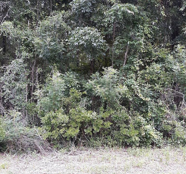 1st image of Lot 6 NE Hwy 349