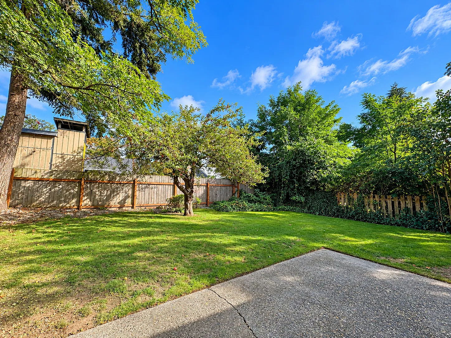 3 bed, 920 sqft, $3,150 — Photo 2