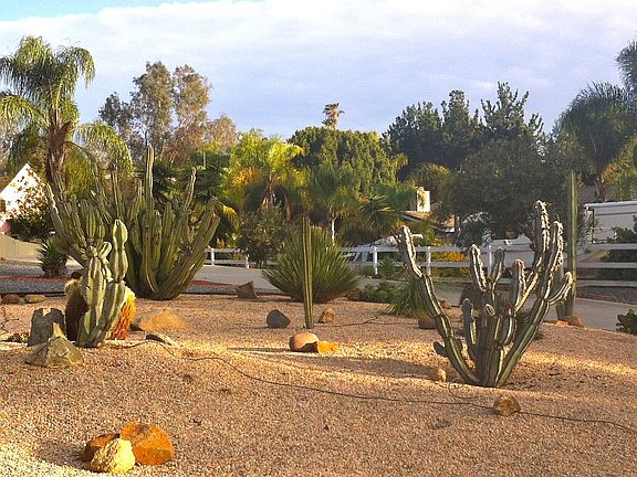 Desert Garden with Benches