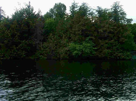 2nd image of Alder Dr