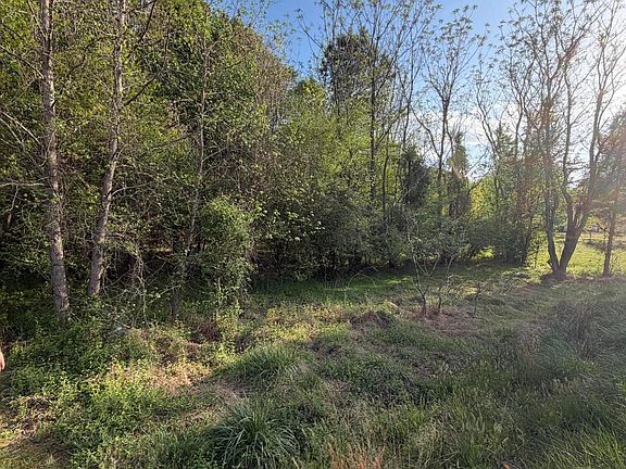 4th image of 7870 State Highway 42 Lot 4