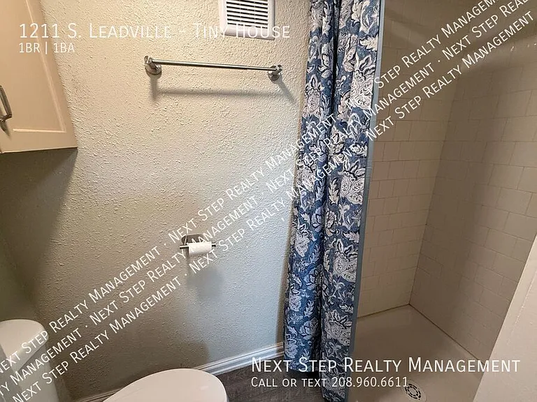 1211 S Leadville Tiny Rte #TINY HOUSE — Photo 5