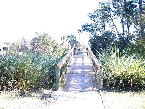 Community Nature Walks