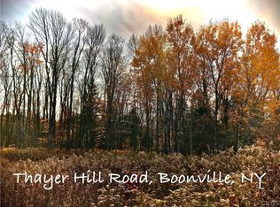 0 Thayer Hill Rd, Boonville, NY 13309
