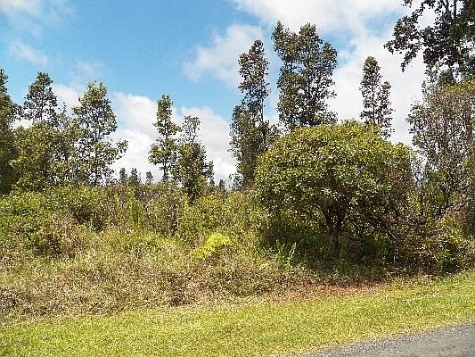 2nd image of Plumeria St Lot 6722
