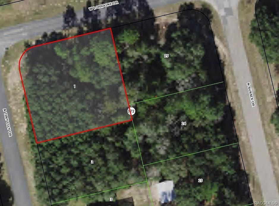 2nd image of 8563 N Tiny Lily Dr