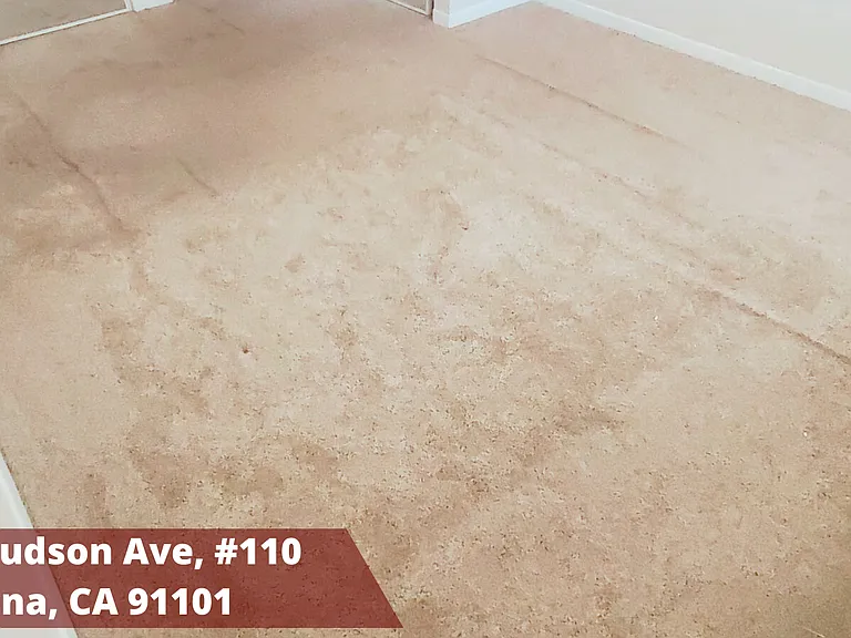 160 S Hudson Ave #110 — Photo 39