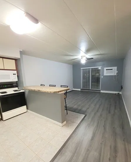 1 bed, 535 sqft, $1,550 — Photo 3
