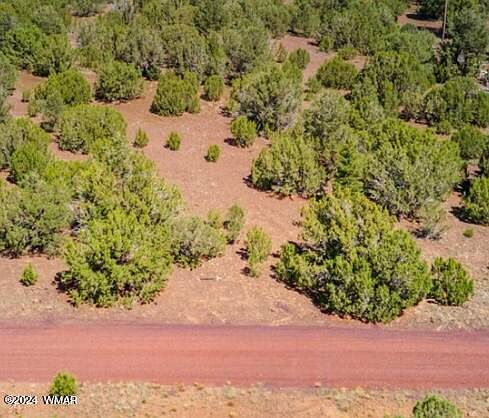 2nd image of 84 County Road 3133
