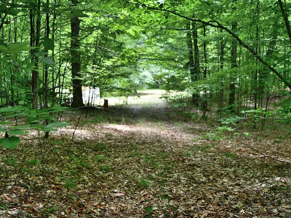 Maple Hl, Fairview, MI 48621