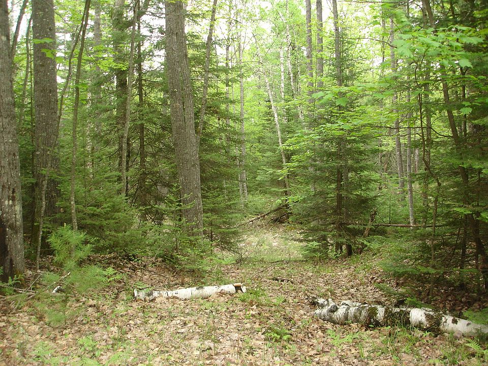 2nd image of Knuth Ln