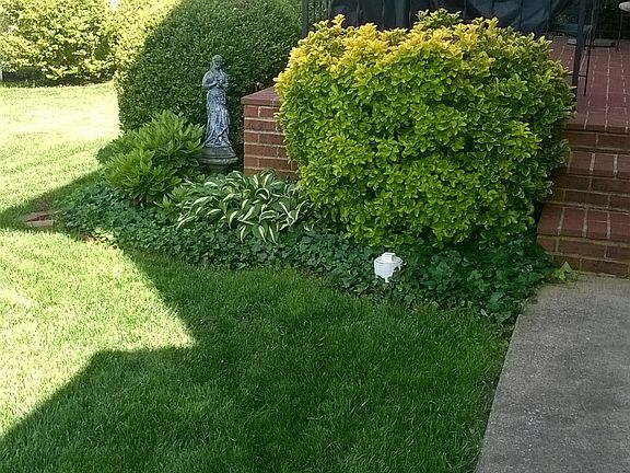 Leading up to the Patio