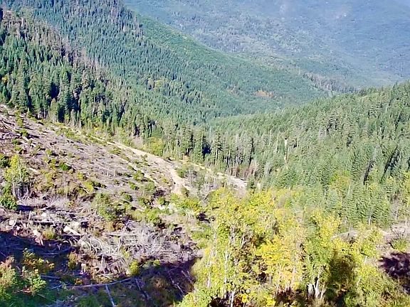 3rd image of W Williams Creek Rd