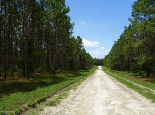Tbd Se 137th Ave, Morriston, FL 32668