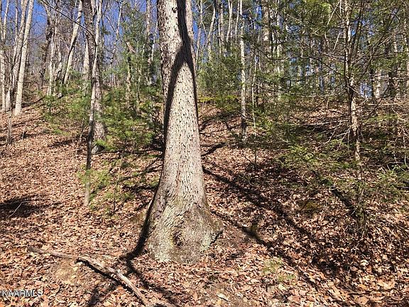 4th image of LOT 18 Alpine Dr