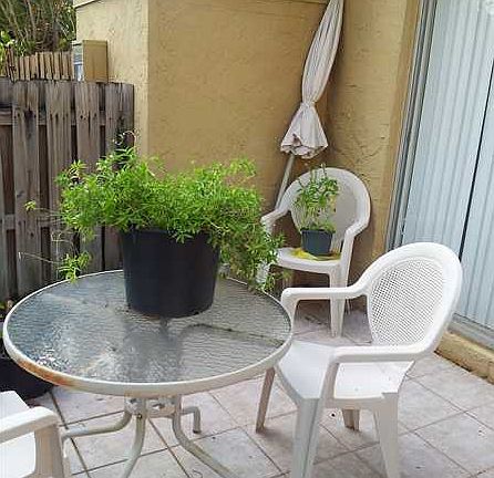 3rd image of 3731 NW 95th Ter APT 1602