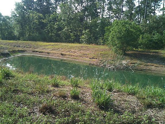   Pond at the back of the lot has many possibilities for rock features, waterfall and landscaping.