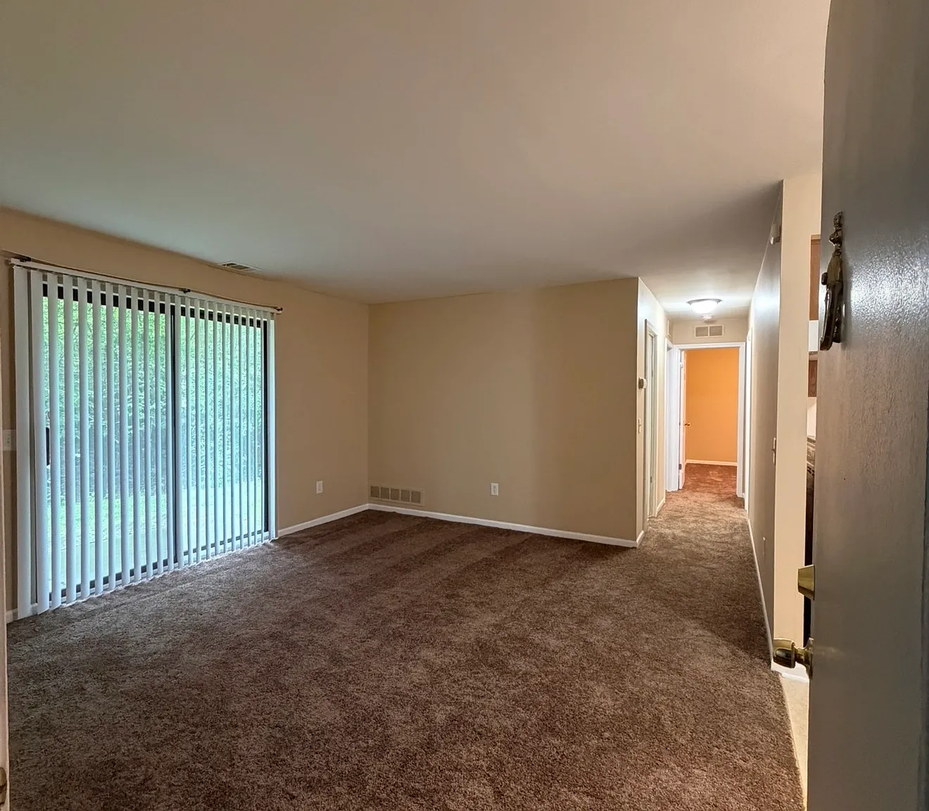 35401 Hickory Woods Drive - 1 — Photo 2