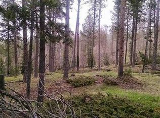 Tbd Wasp Road, Deadwood, SD 57732