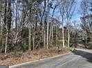 3rd image of 4940 Westridge Ln