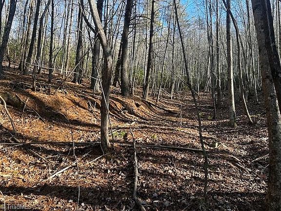 2nd image of State Highway 16 S