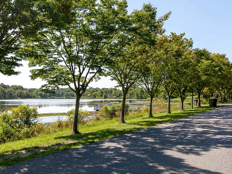 Jog, Bike or Relax at Lake Artemesia