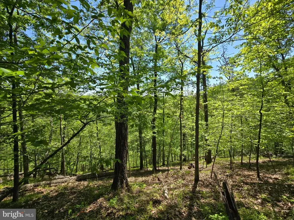 6791 Oakrise Rd, New Market, MD 21774