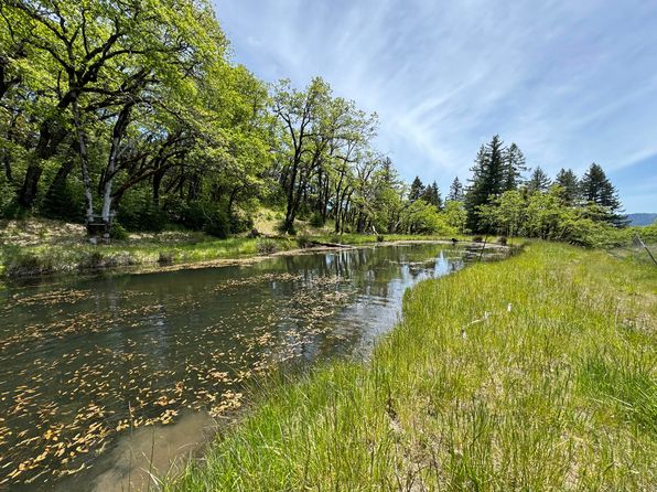 12575 Buck Mountain Rd, Bridgeville, CA 95526