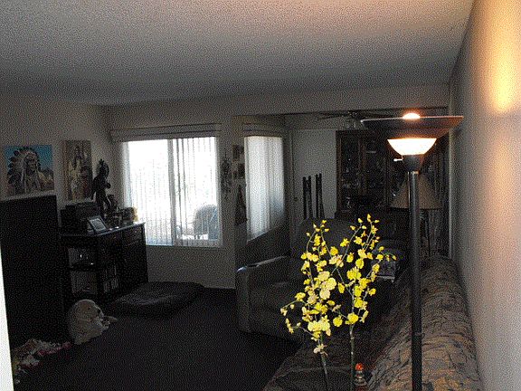 Another view Liv Rm