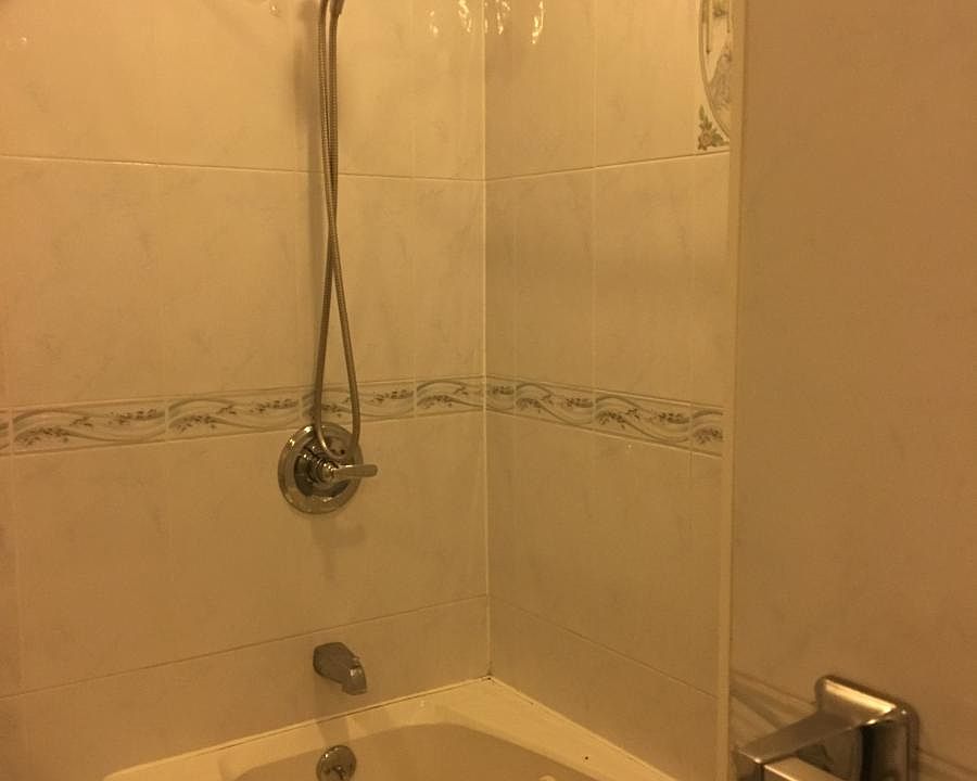 1st image of 3351 Lucerne St #1