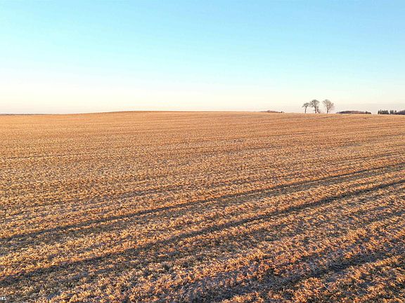 2nd image of Cameo Rd