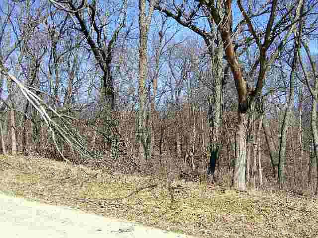 2nd image of 3-544R Fawn Ridge Dr