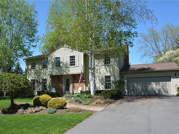 2nd image of 12 Cambric Cir