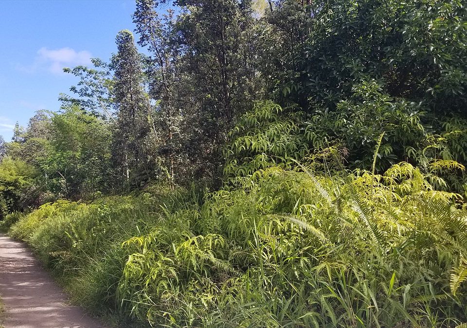1st image of Road 9 Koloa Maoli Lot 5353