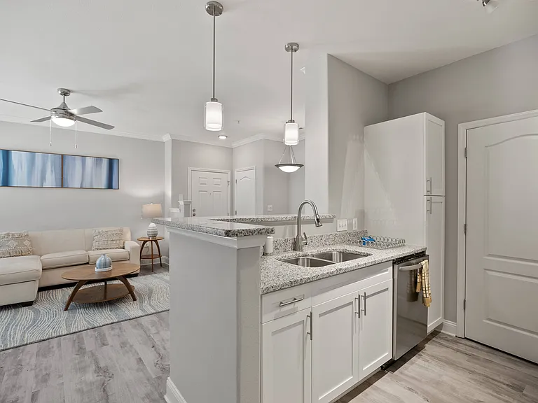 Goose Neck Kitchen faucet
