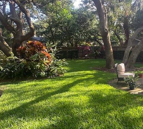 backyard