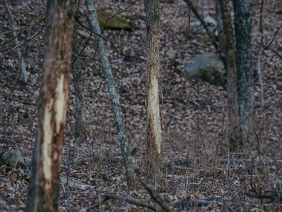 4th image of 0 202nd Rd