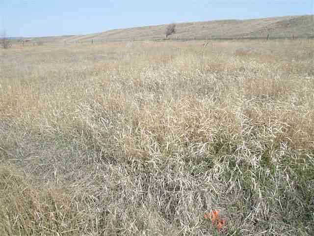1st image of 127 Tamari Dr