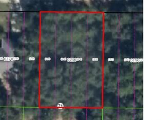 3446 E Michael St, Inverness, FL 34453